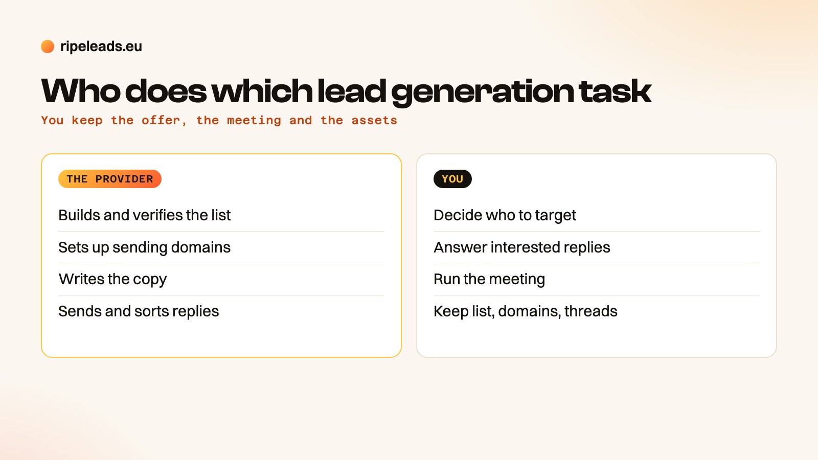 Task split between a client and an outsourced lead generation team: the provider builds the list, sets up domains, writes copy, sends and sorts replies; the client keeps the offer, answers interested replies and runs the meeting